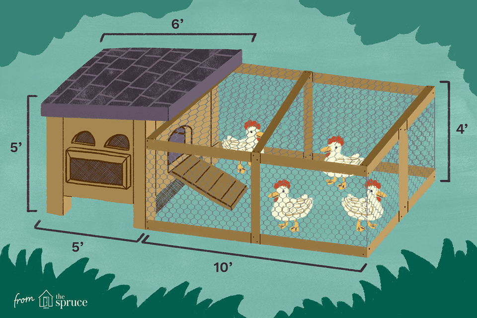 Lucas Chicken Coops Blueprints Free Avoid