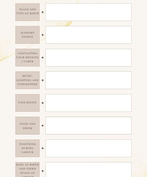 Making A Birth Plan Kiwi Families Worksheets Library