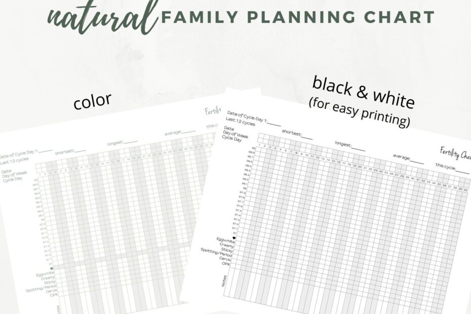 Natural Family Planning Printable Chart PDF Elizabeth Clare