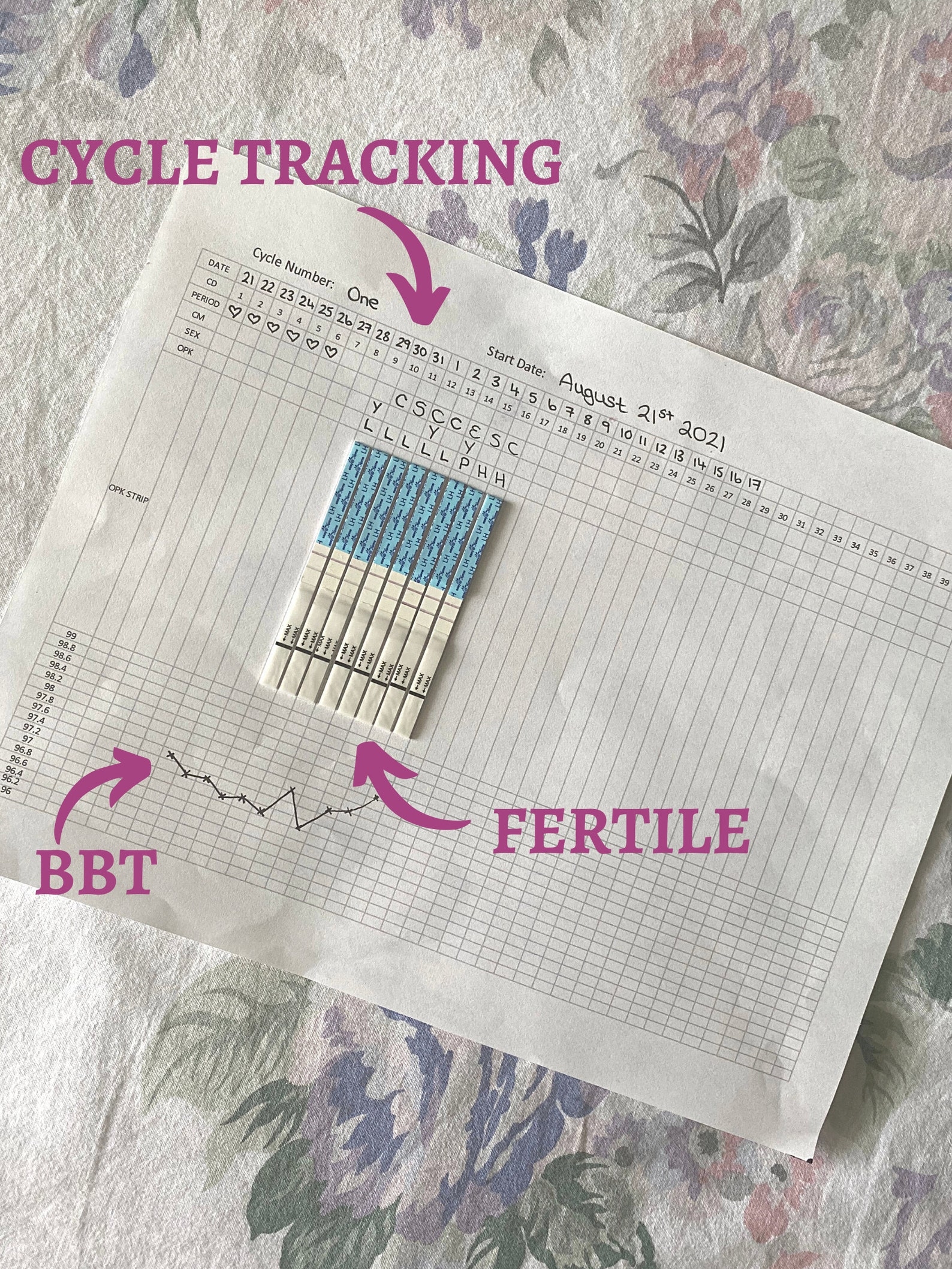 Natural Family Planning Printable Know Your Cycle Prevent Pregnancy 