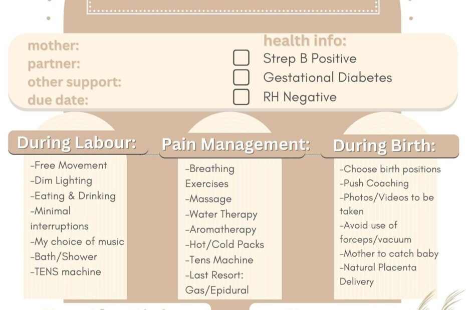Neutral Natural Birth Plan Template Digital Download Print Ready Etsy