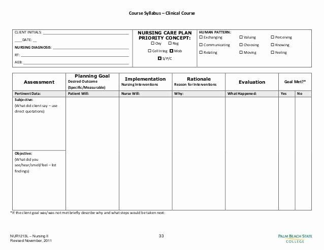 Nursing Education Plan Template Nursing Care Plan Nursing Care Care