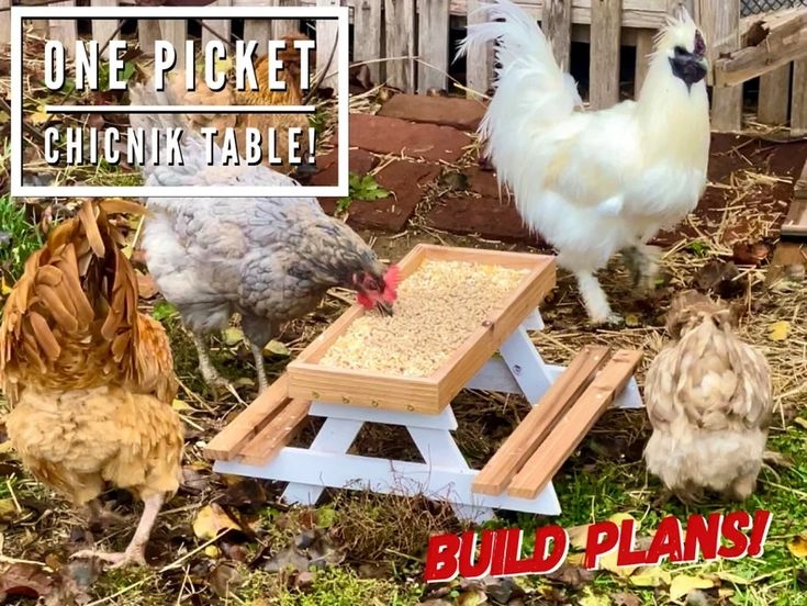 One Picket Chicnik Table Plans Digital Plans Chicken Table Chicken 