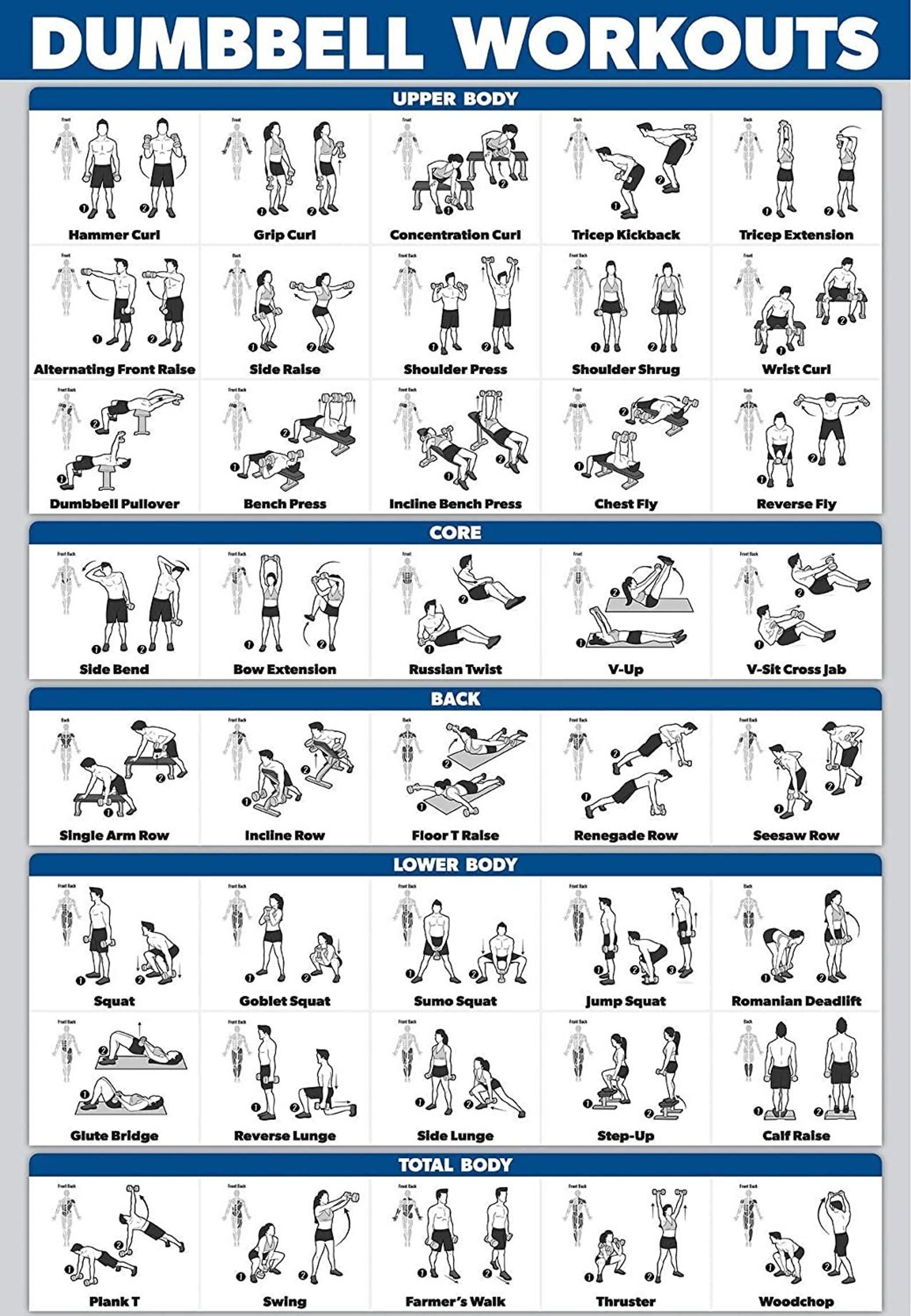 Pdf Printable Free Dumbbell Workout Chart
