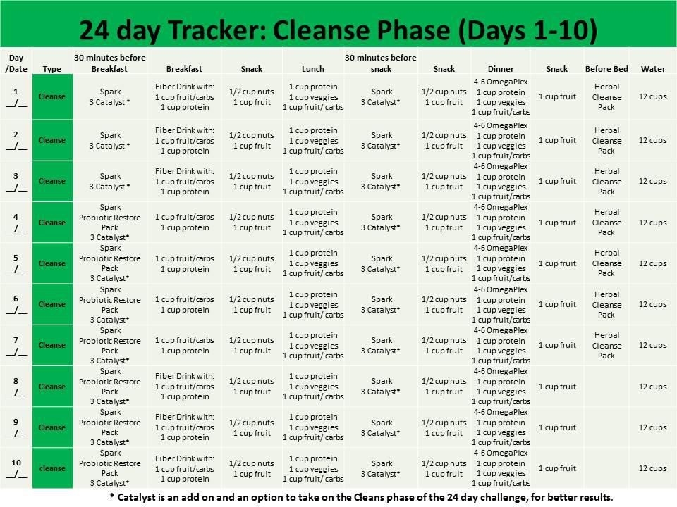 Printable Advocare 24 Day Challenge Meal Plan