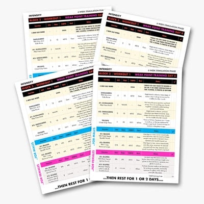 Printable Athlean X Workout Plan Pdf EOUA Blog