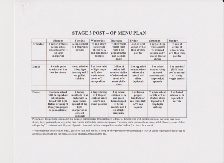 Printable Bariatric Meal Plan Pdf Printable Free Templates