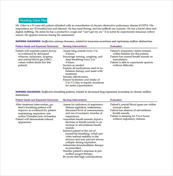 Printable Baseline Care Plan Template Printable Templates Free
