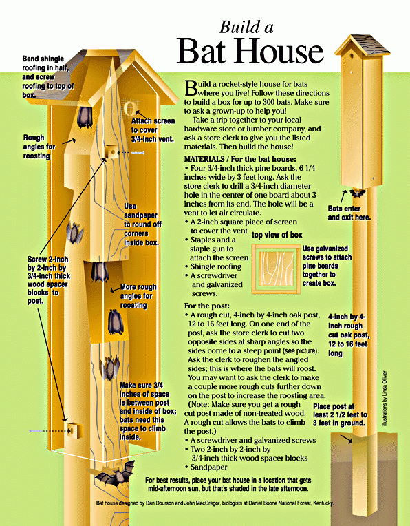 Printable Bat House Plans Pdf Marietta Valenti
