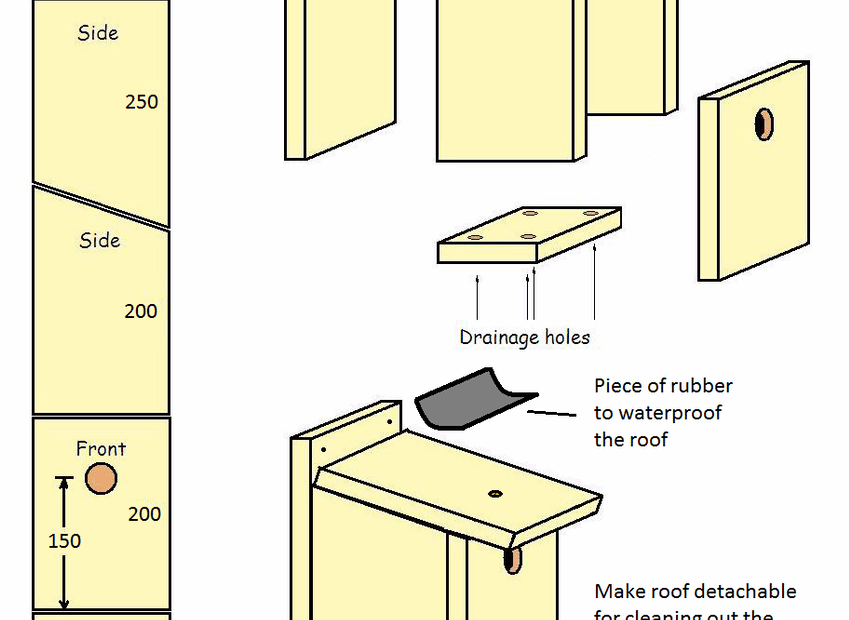 Printable Bird Box Plans Pdf