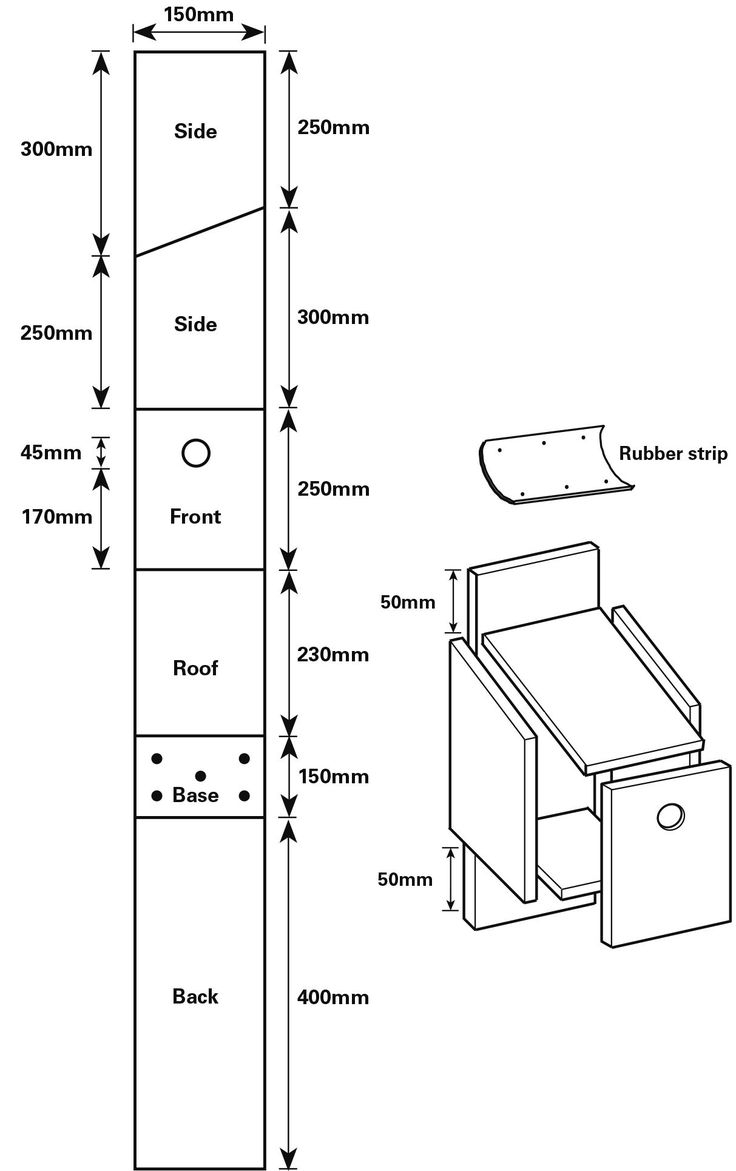 Printable Bird Box Plans Pdf