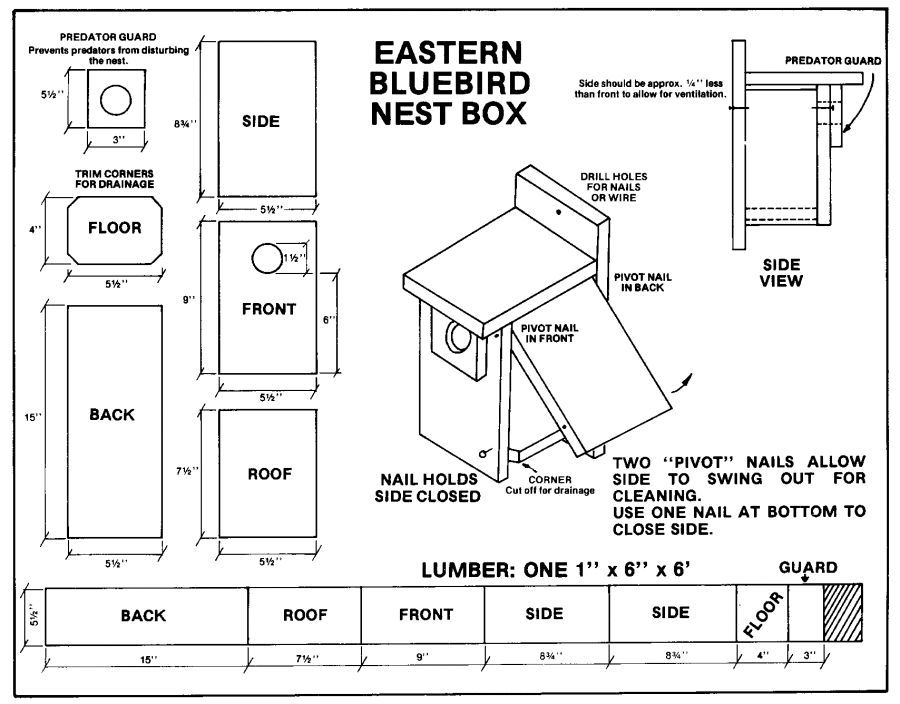 Printable Bird Box Plans