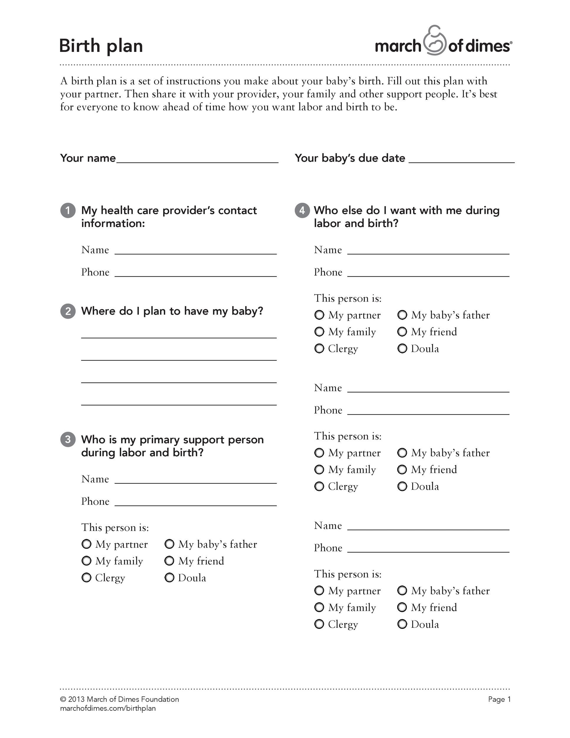 Printable Birth Plan Template Pdf