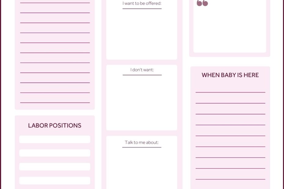 Printable Birthing Plan Template Beautiful Free Birth Plan 40 OFF