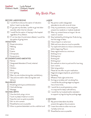 Printable Birthing Plan Template Beautiful Free Birth Plan 40 OFF
