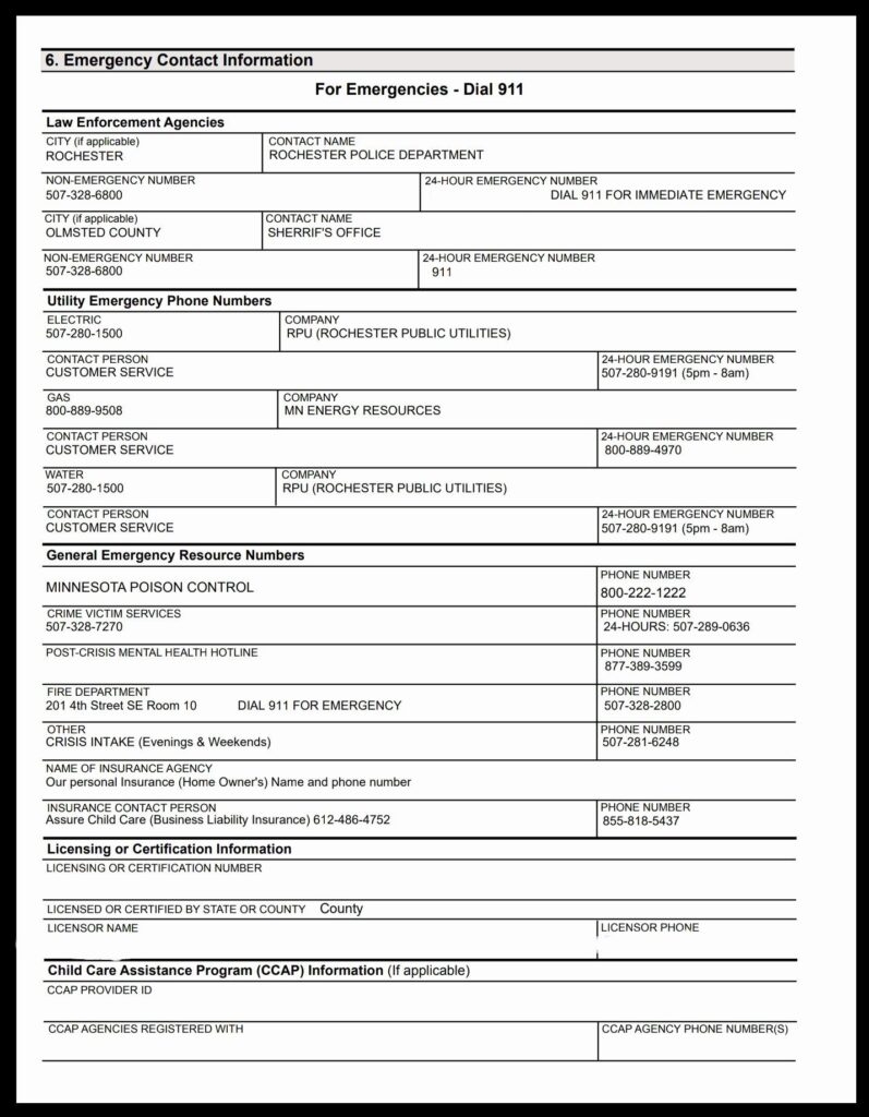 Printable Daycare Emergency Preparedness Plan Template Fillable Form 2023