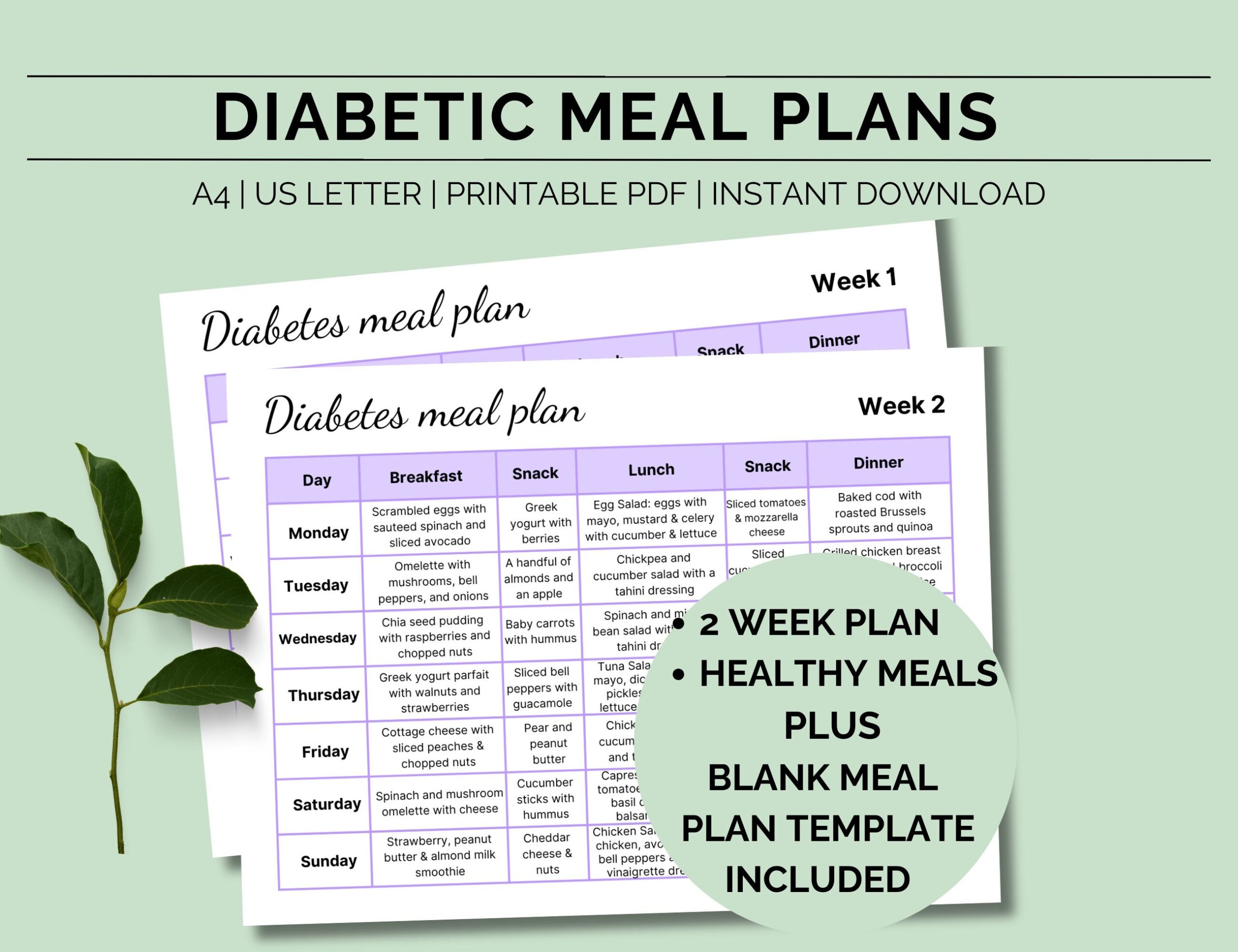 Printable Diabetic Meal Plan Diabetic Diet Plan Diabetic Food Chart 
