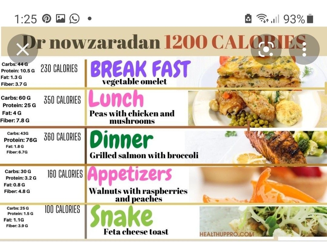 Printable Dr Nowzaradan Diet Plan 1200 Calories Pdf Printabledie Bilarasa