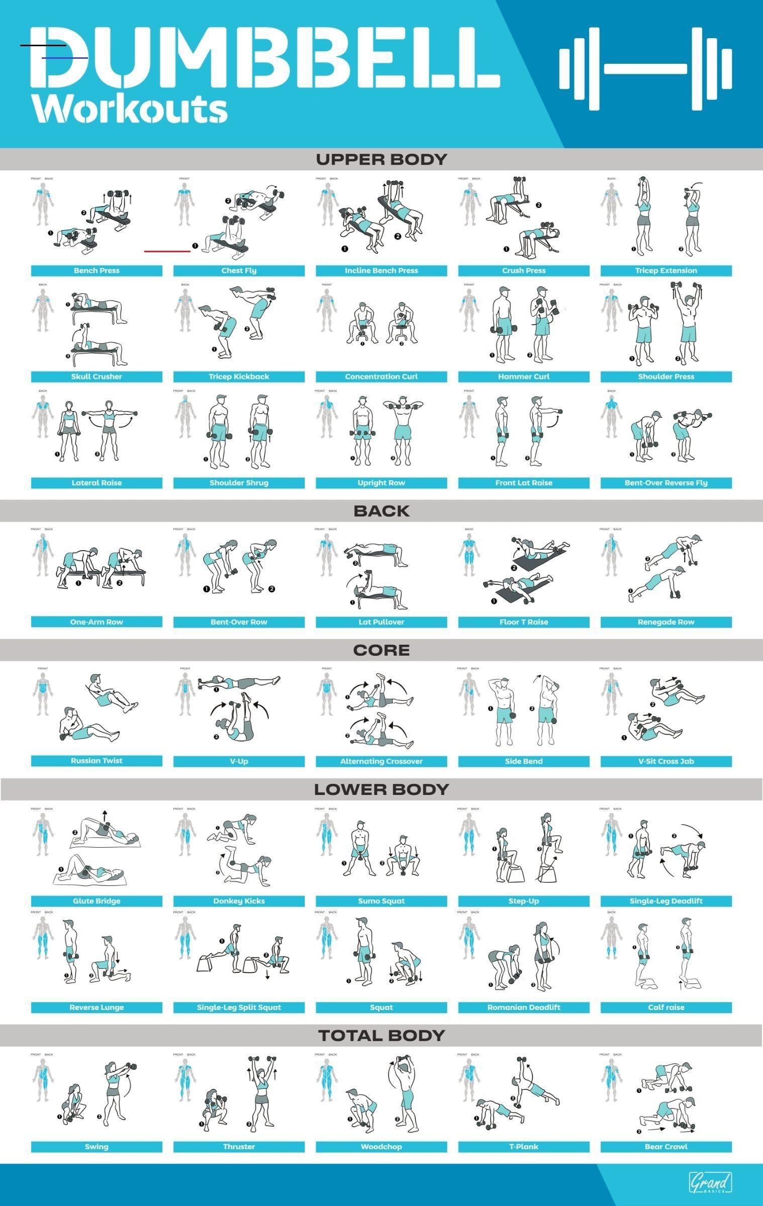 Printable Dumbbell Workout Plan Pdf Printable Templates