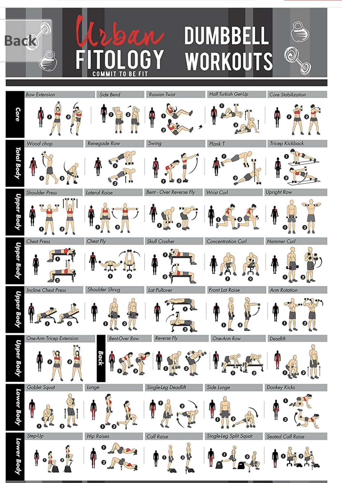 Printable Dumbbell Workout Plan