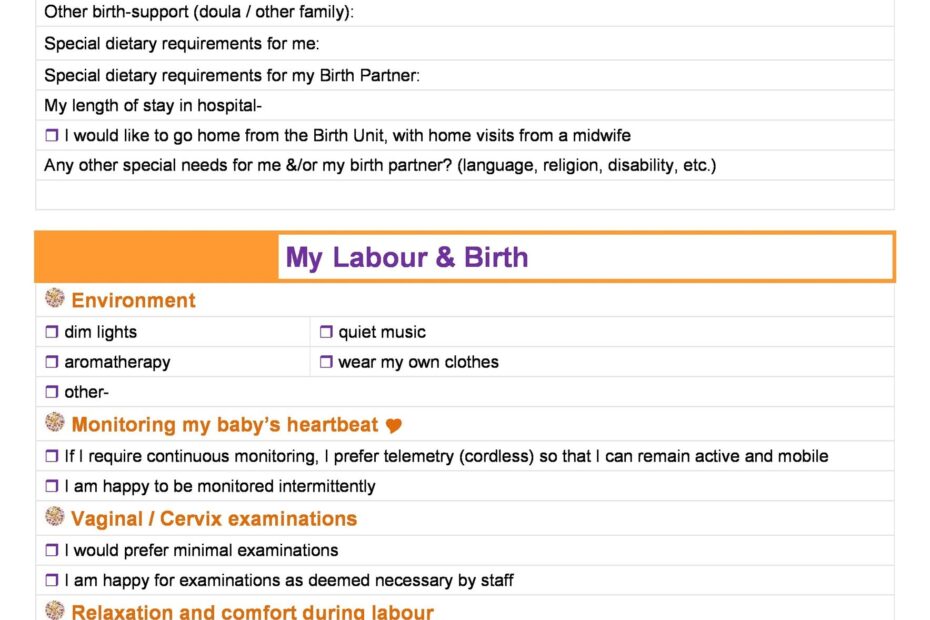 Printable Editable Birth Plan Template Printable Templates