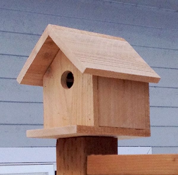 Printable Free Bird Feeder Woodworking Plans