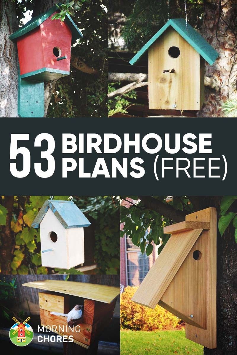 Printable Free Bird Feeder Woodworking Plans