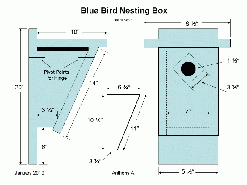 Printable Free Printable Bluebird House Plans