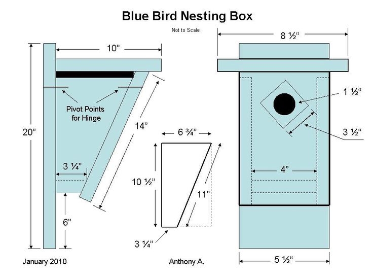 Printable Free Printable Bluebird House Plans Printable New Year Banners