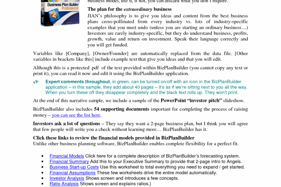 Printable Sample Business Plan Sample Form Business Plan Template