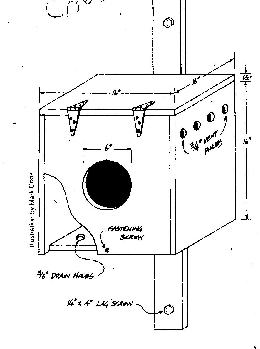 Printable Screech Owl Box Plans Printable Calendars AT A GLANCE