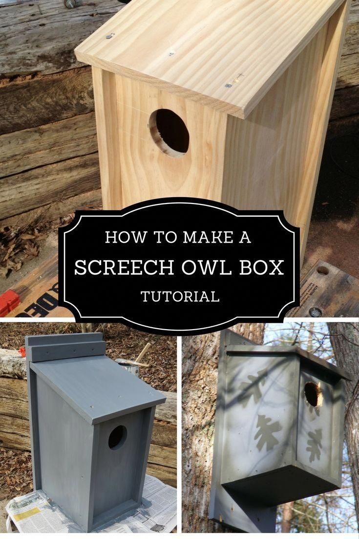 Printable Screech Owl Box Plans Printable New Year Banners