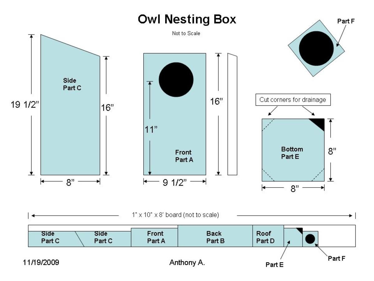 Printable Screech Owl Box Plans Printable Templates