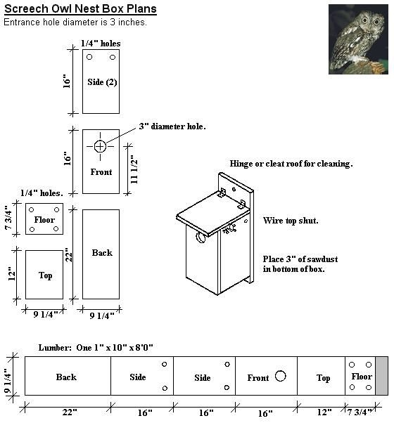 Printable Screech Owl Box Plans Printable Templates