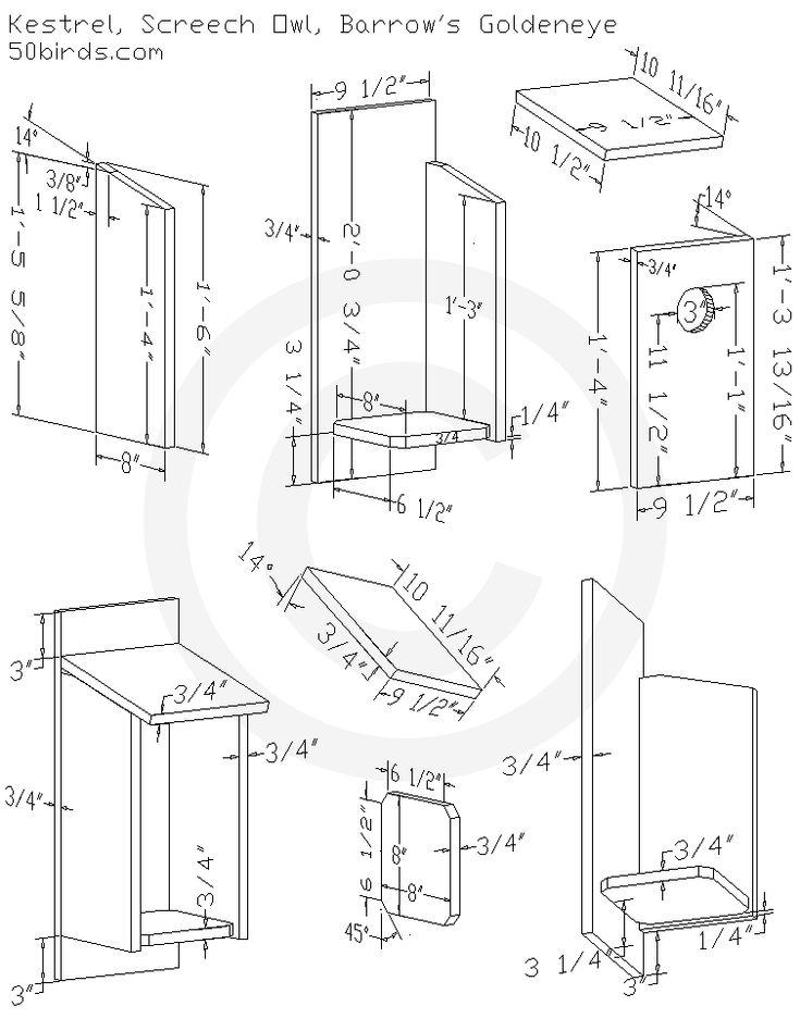 Printable Screech Owl Box Plans Printable Templates