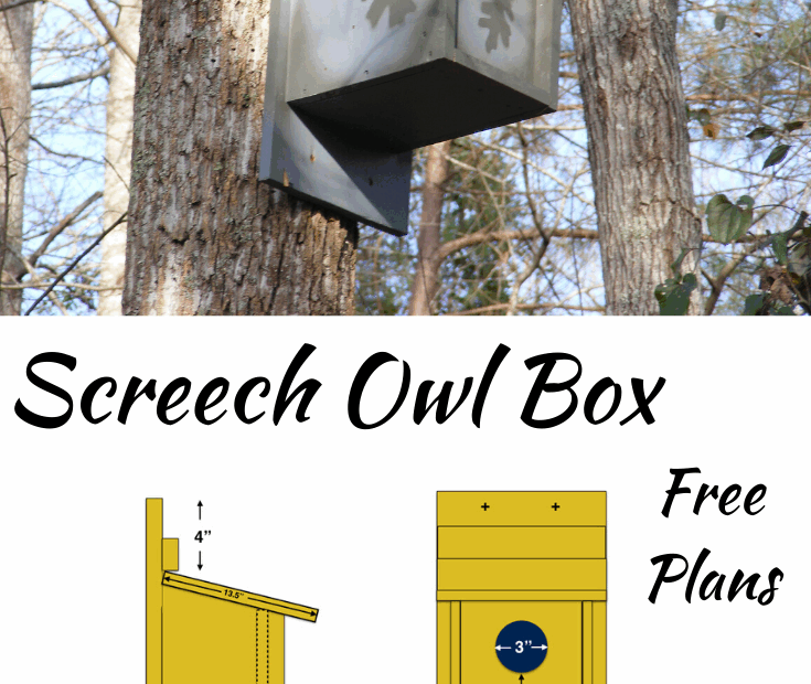 Printable Screech Owl Box Plans Printable Word Searches