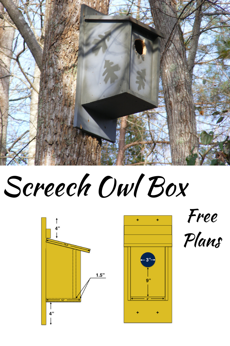 Printable Screech Owl Box Plans Printable Word Searches