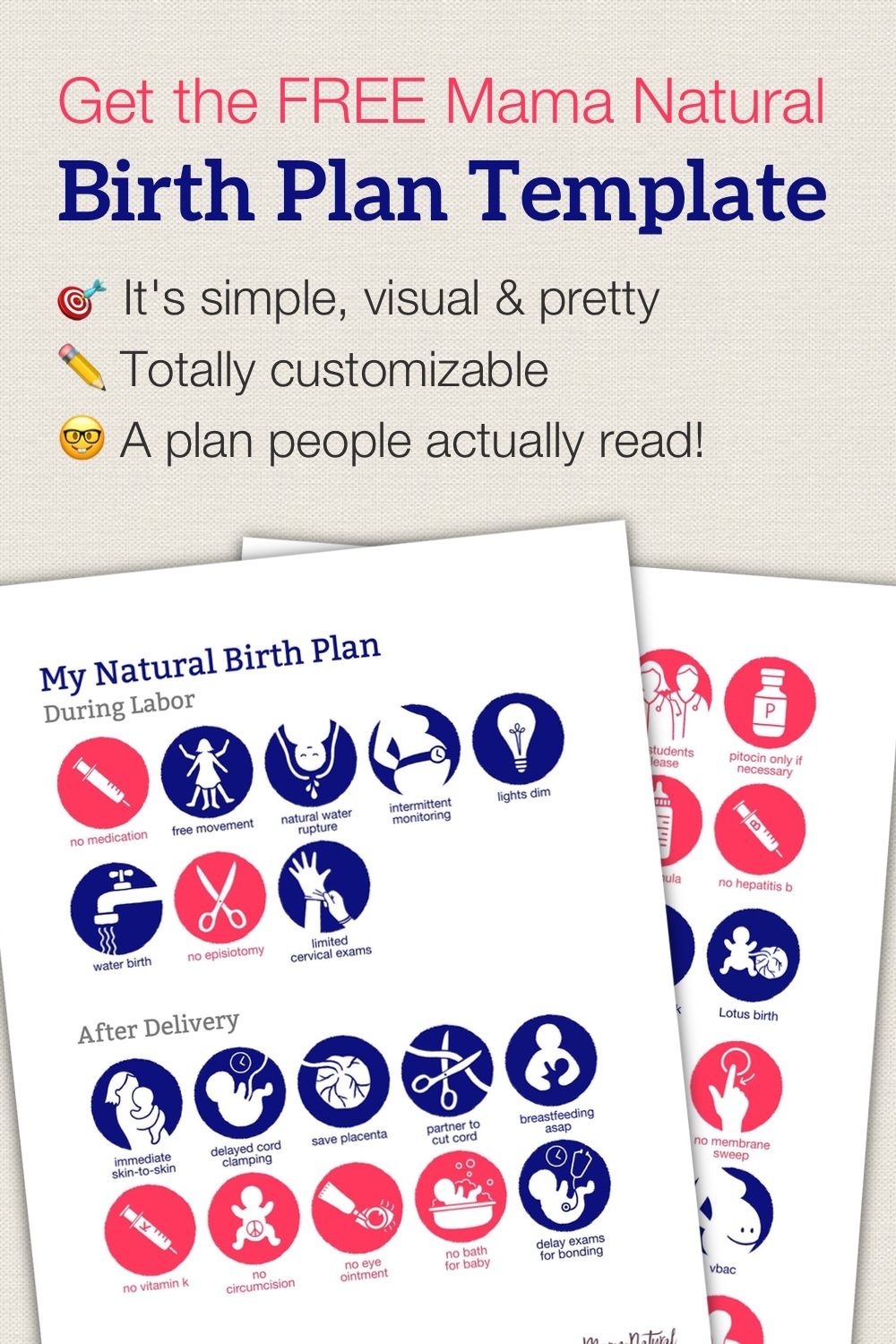 Printable Visual Birth Plan Template Printable Templates
