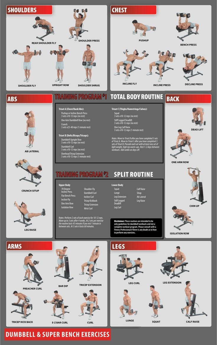 Printable Workout Plans Pages Dev