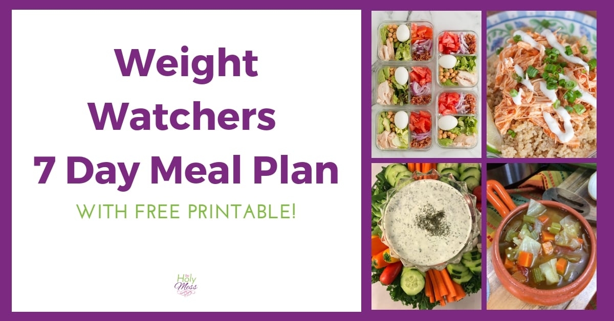 Weight Watchers 2024 Plan Printable