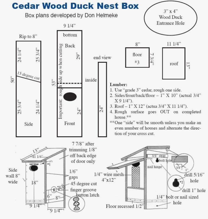 Wood Duck House Plans Building The Perfect Home For Your Feathered 