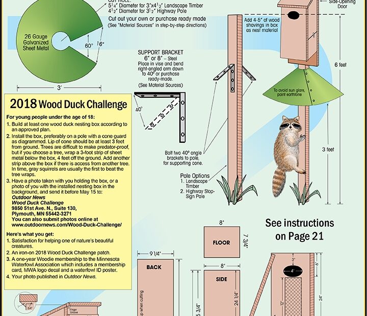 Wood Duck House Plans Building The Perfect Home For Your Feathered